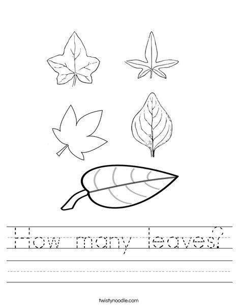 How many leaves Worksheet - Twisty Noodle