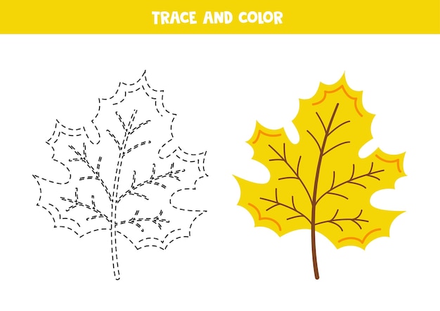 Premium Vector | Trace and color cute hand drawn maple leaf ...