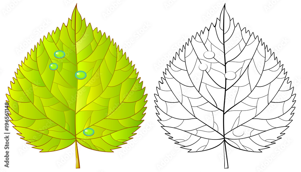 Colorful and black and white pattern for coloring. Illustration of ...