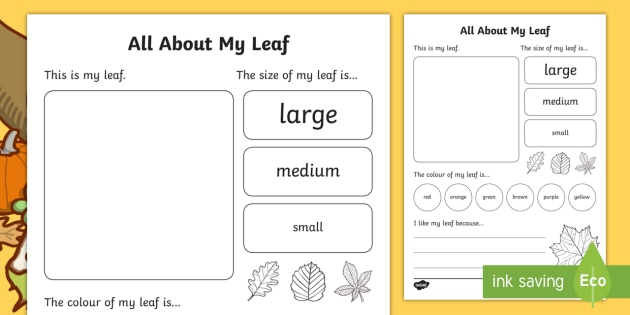 All About My Leaf Activity Worksheet - Primary Resources