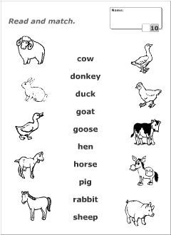 English Vocabulary Worksheets for Kids