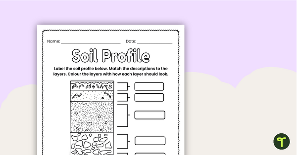 Label a Soil Profile - Worksheet | Teach Starter
