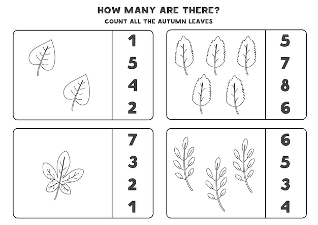 leaves worksheet answers