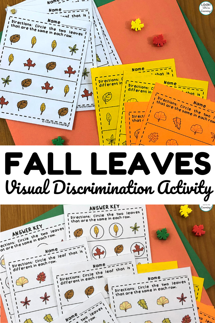Leaf Look Alikes! Same or Different Leaf Worksheets - Look! Were ...