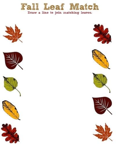 Fall Leaf Printable Activity Sheet - Leaf Match - Jinxy Kids