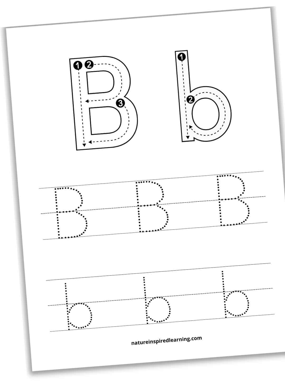 Letter B Tracing and Fun Worksheet KidzeZone Worksheets Library