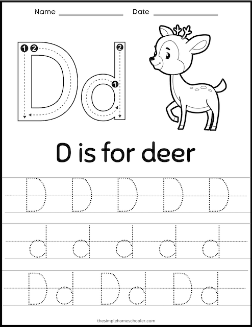 letter d preschool worksheet