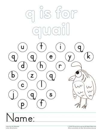 Find The Letter Q Worksheet  