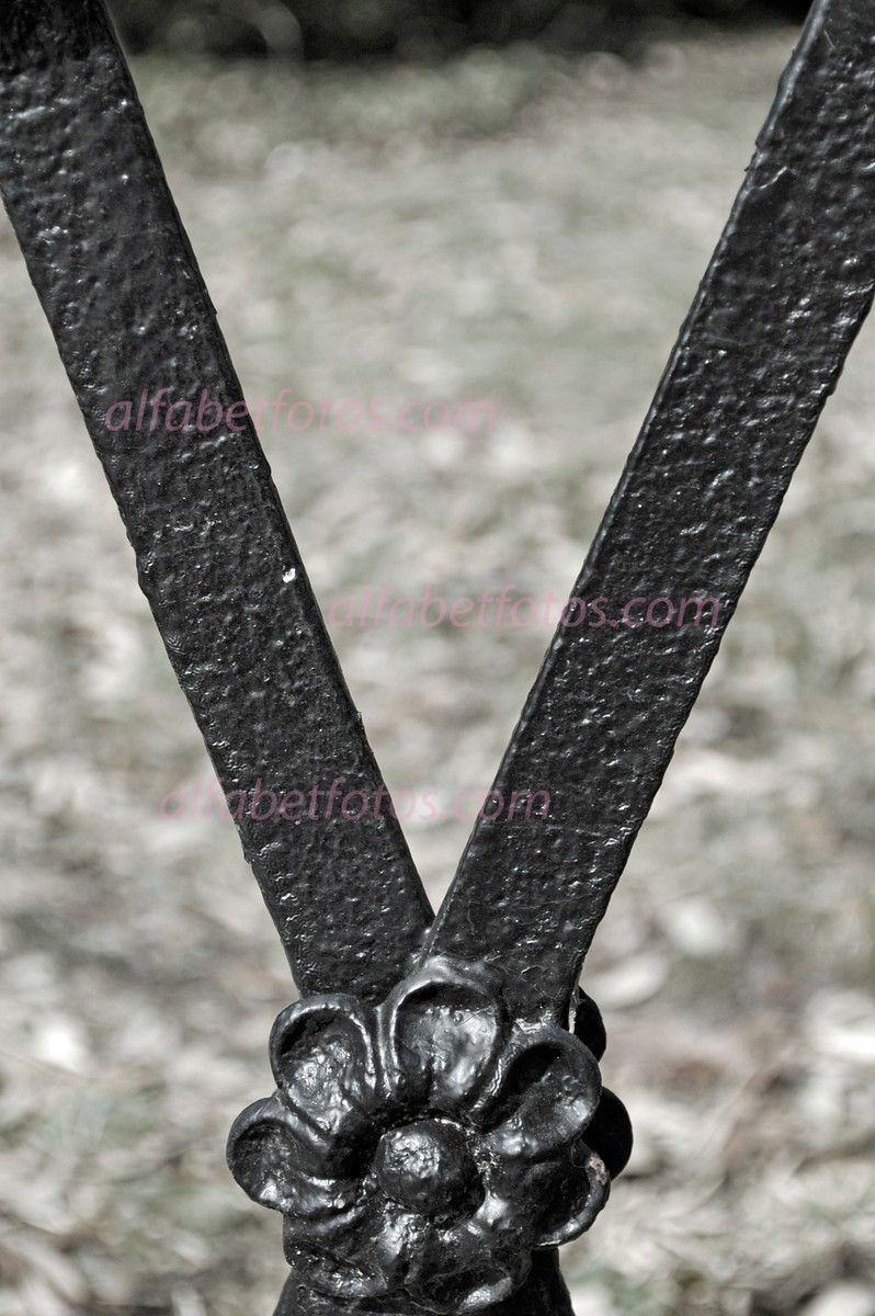 letter v photographs