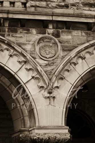 letter v photographs