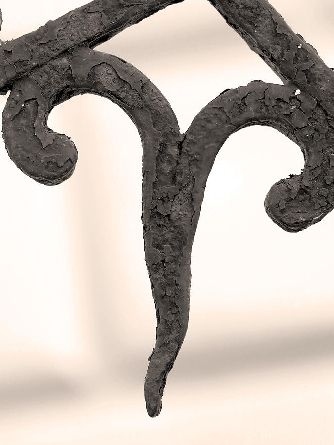 letter v photographs