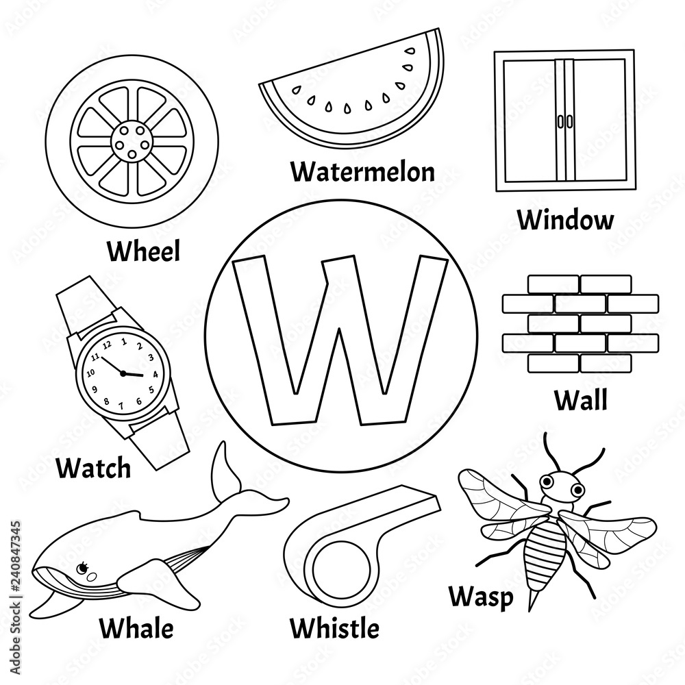 Vector cute kids animal alphabet. Letter W. Set of cute cartoon ...