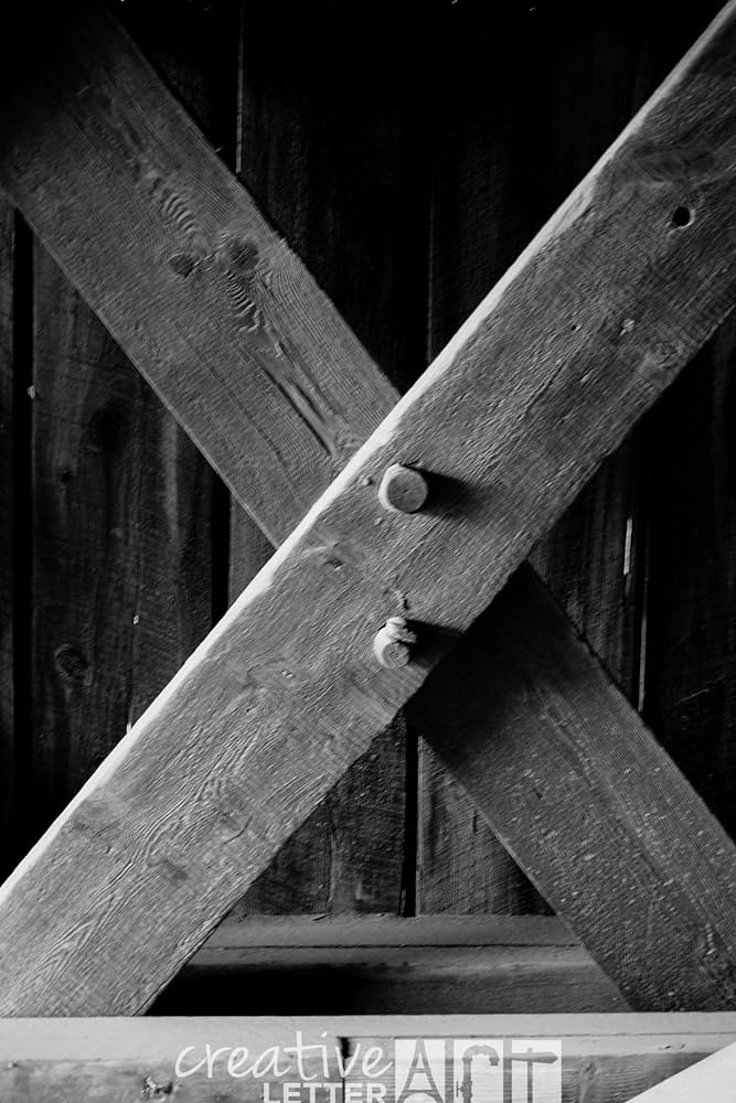 letter x photographs