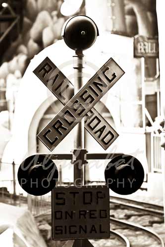 letter x photographs