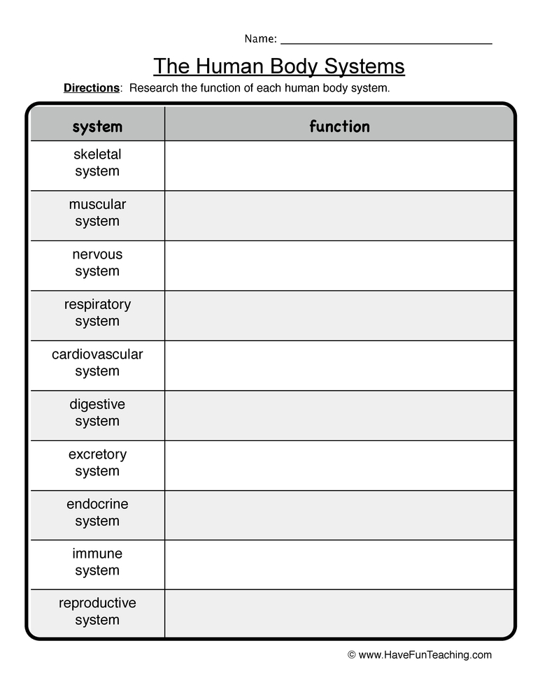 life activities and body systems worksheet