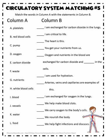 life activities and body systems worksheet