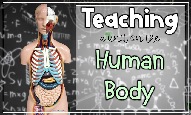 life activities and body systems worksheet