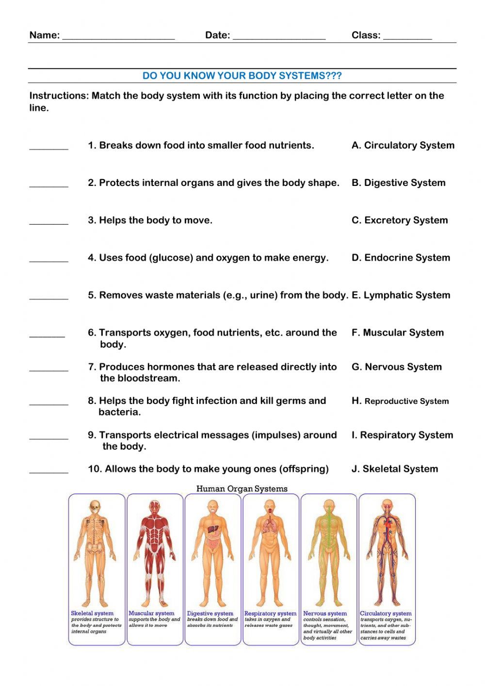 life activities and body systems worksheet