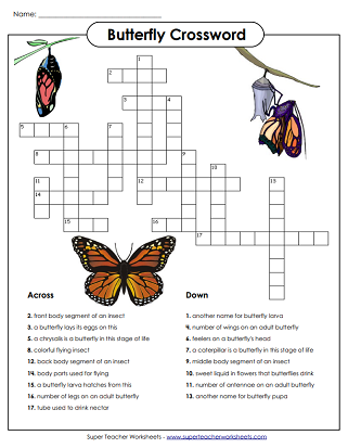 life cycle of a butterfly worksheet for 2nd grade
