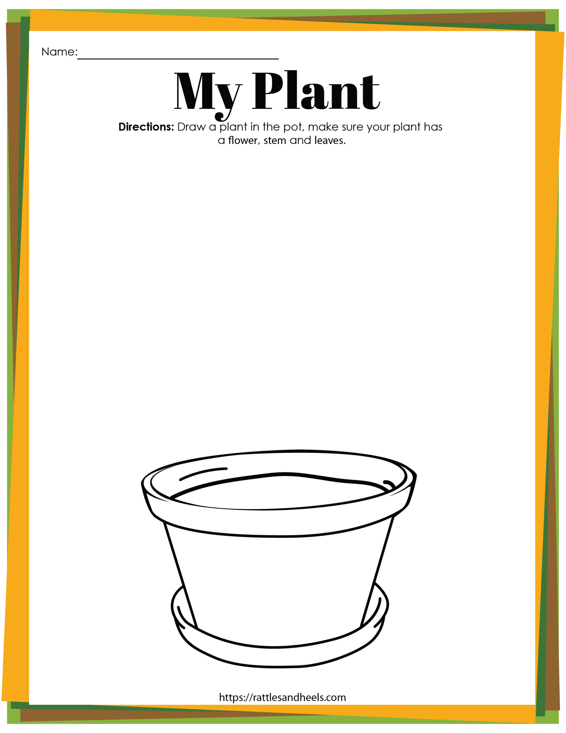 life cycle of a plant for kindergarteners worksheet