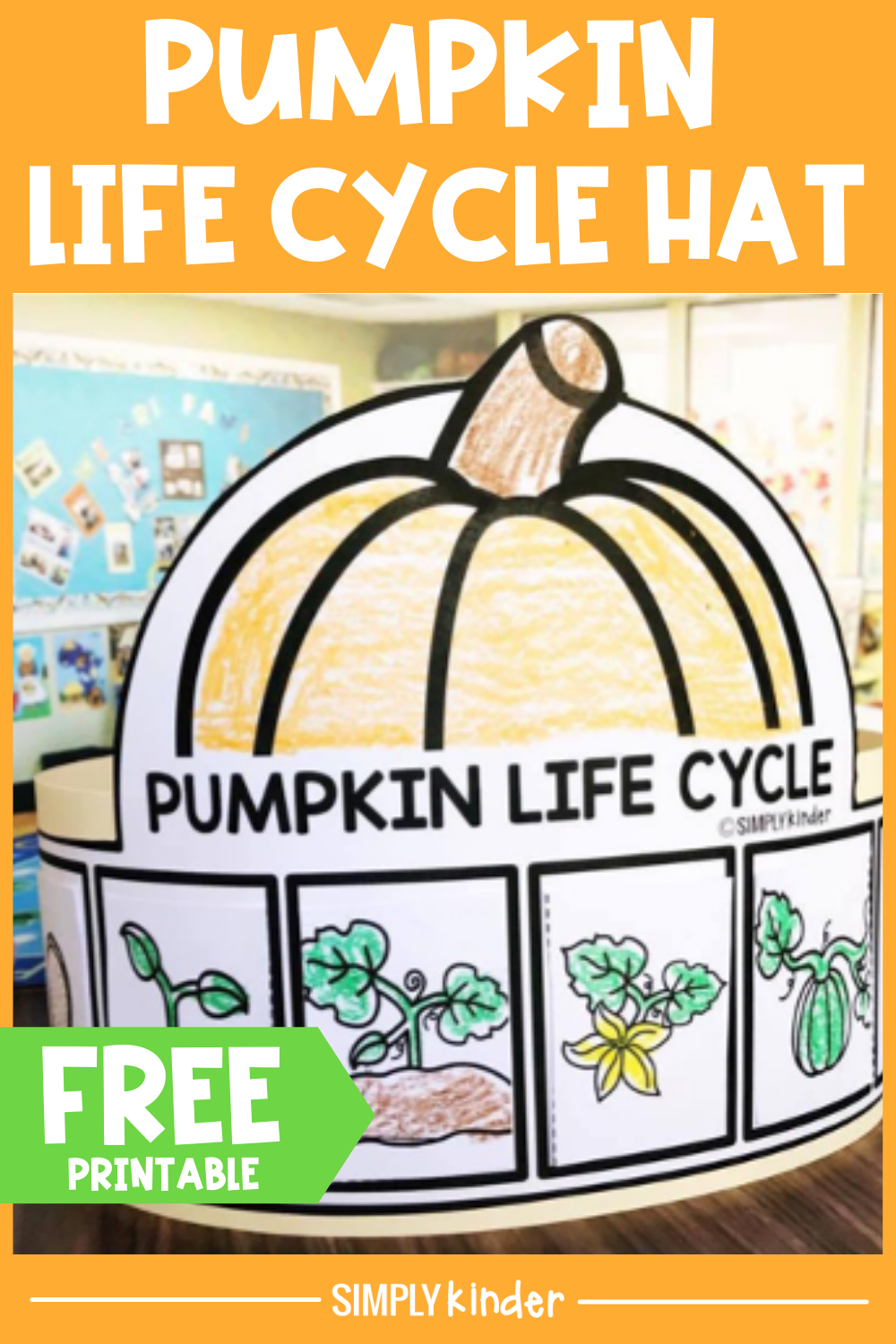 life cycle of a pumpkin worksheet