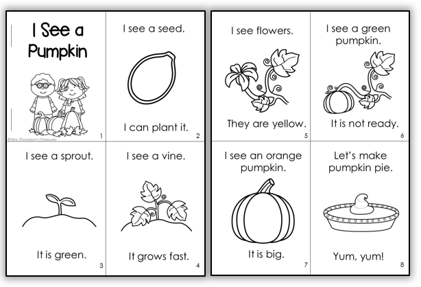 life cycle of a pumpkin worksheet
