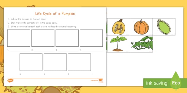 Life Cycle of a Pumpkin Writing Activity (teacher made)