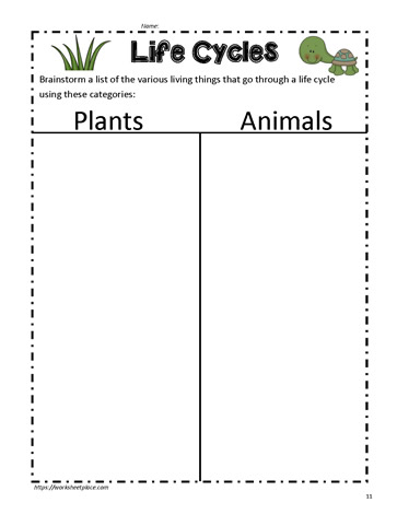 life cycle of animals worksheet