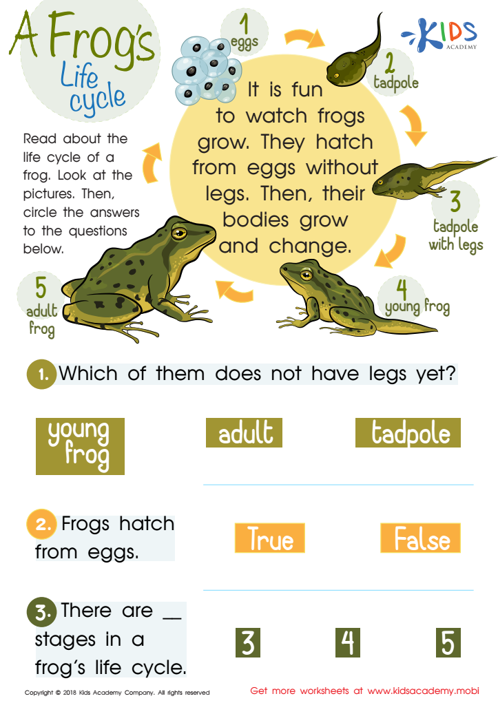 life cycle of frog worksheet