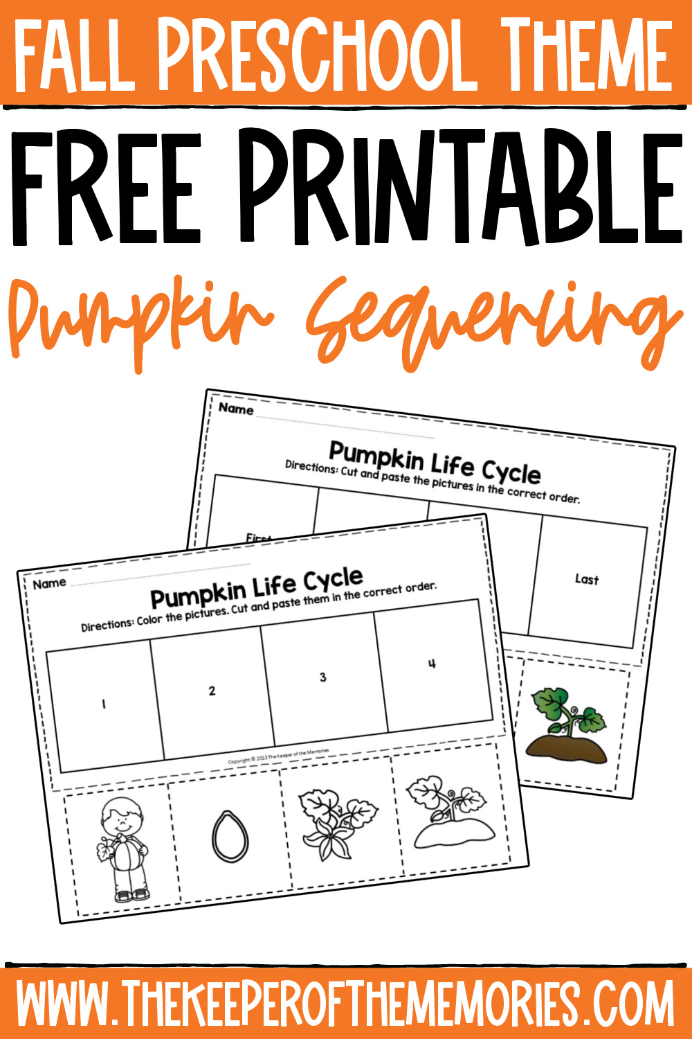 life cycle of pumpkins worksheet