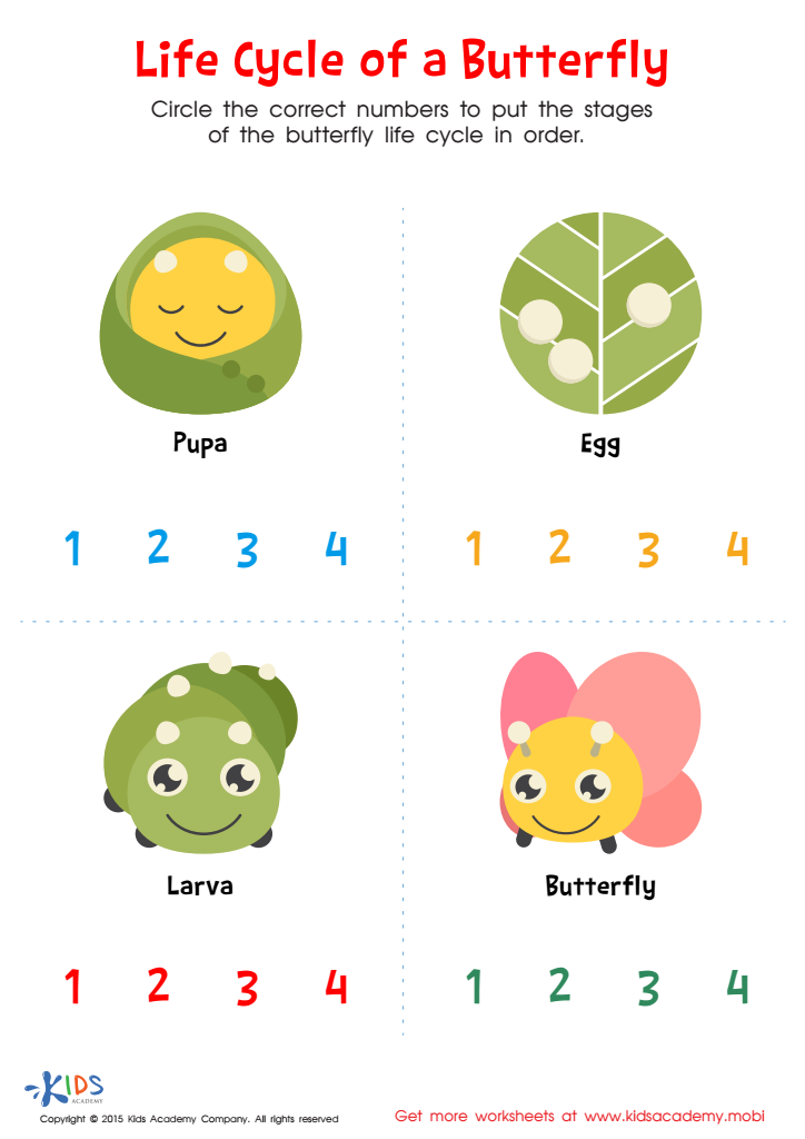 life cycle of the butterfly worksheet