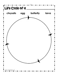 life cycle worksheet 2nd grade