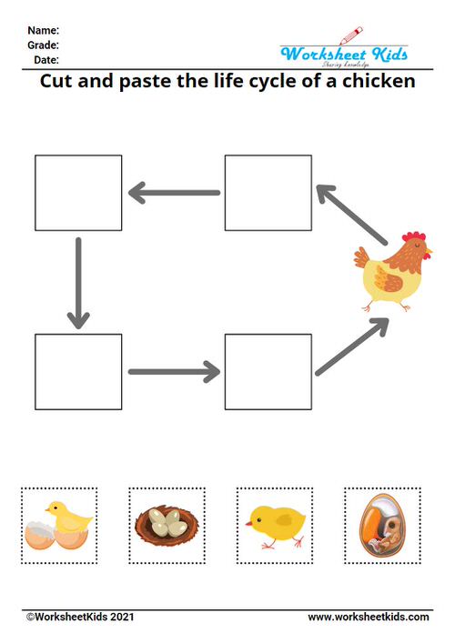 Life cycle online pdf activity for Grade 2 | Live Worksheets