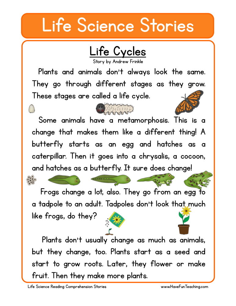 life cycle worksheet for 2nd grade