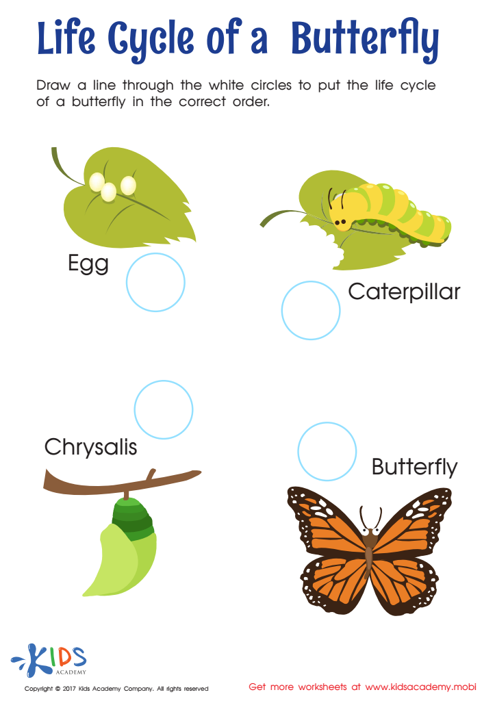 life cycle worksheet for 2nd grade