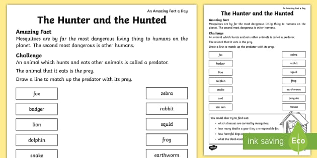 life hunters and hunted worksheet