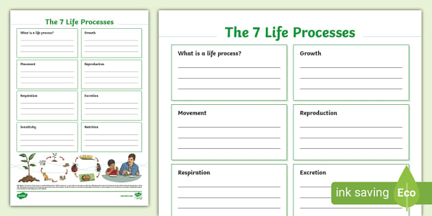 The 7 Life Processes Fact File Template (teacher made)