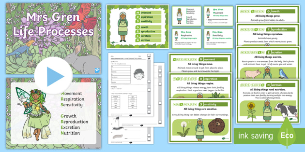 MRS GREN Activity Pack | Life Processes Resource Pack