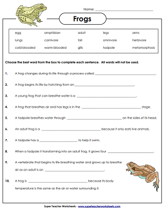 lifecycle of a frog worksheet