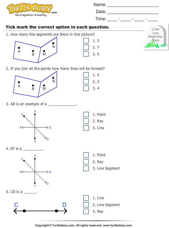Identify Point, Line, Ray, and Line Segment in Figure | Turtle ...
