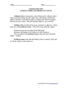 linking verbs and predicate words worksheet answers