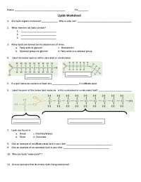 lipids worksheet