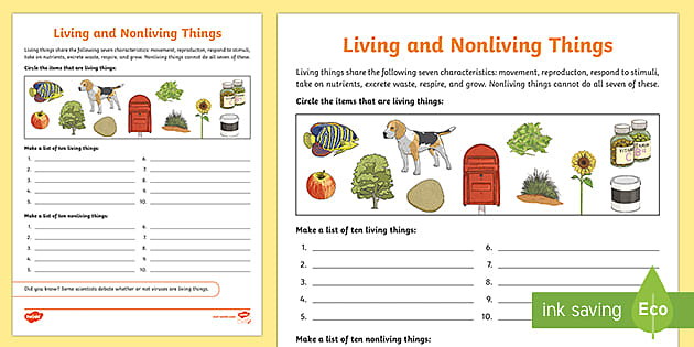 living and non living worksheet