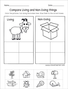living and non living worksheet