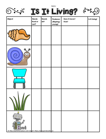 living and non living worksheet