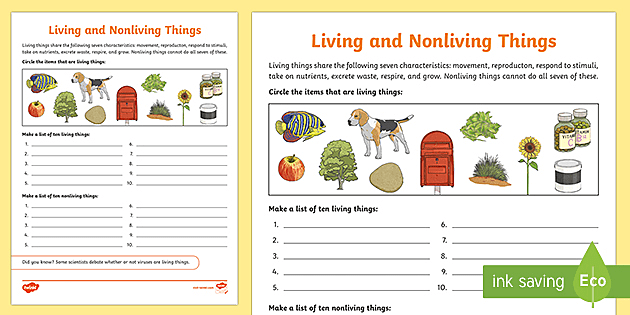 living and nonliving worksheet