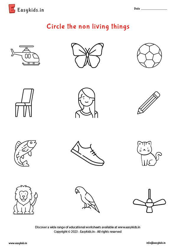 living and nonliving worksheet