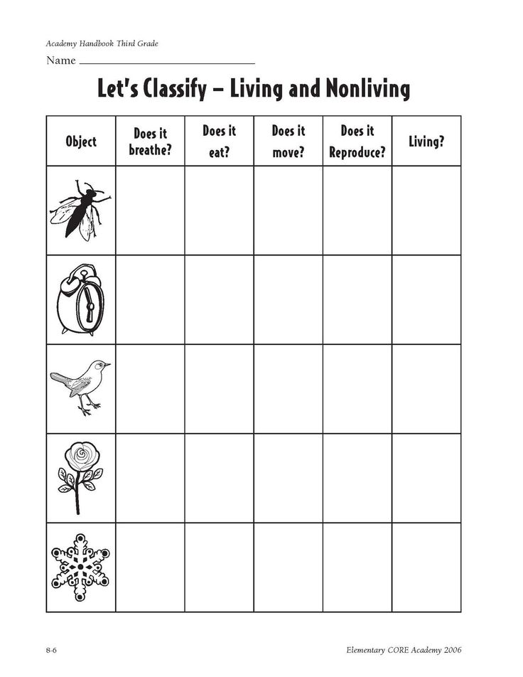 living environment worksheet