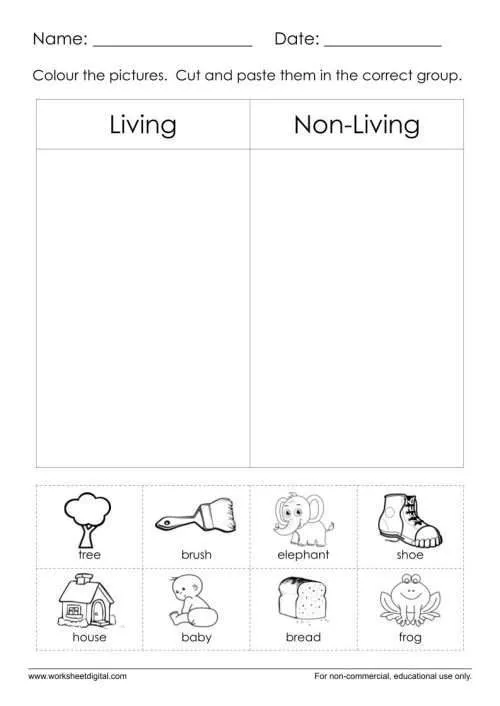 living nonliving worksheet