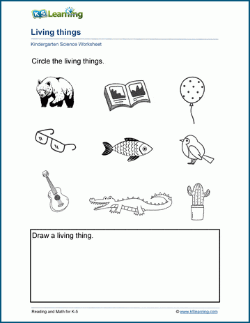 living or nonliving worksheet